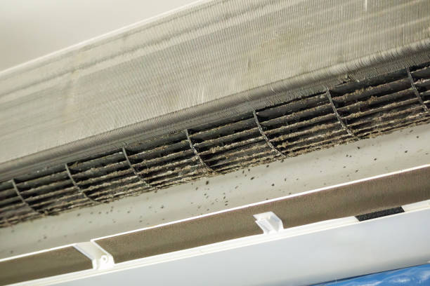 Best Air Duct Cleaning Company Near Me  in USA